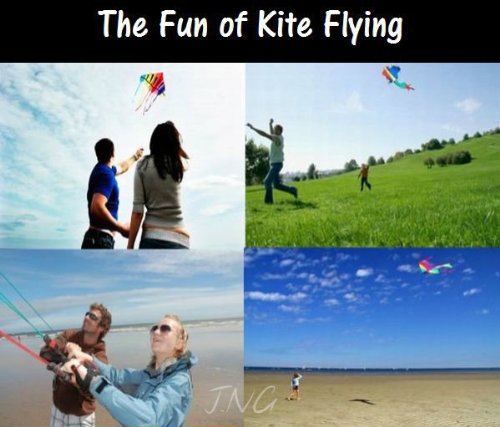 [AUSTRALIA] - L.W. Eye Catching 8 Hole Single Line Control Parachute Parafoil Foil Kite Outdoor Beach Garden Playground Fun 