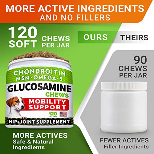 Glucosamine Treats + Allergy Relief Dog Bundle - Joint Supplement w/Omega-3 Fish Oil + Itchy Skin Relief - Chondroitin, MSM + Pumpkin, Enzymes, Turmeric - Skin & Coat - Bacon Flavor + Vegetable Chews - BeesActive Australia