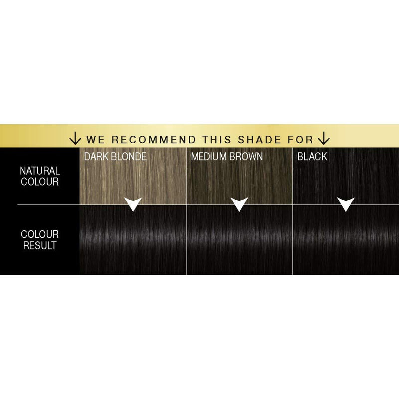 Schwarzkopf Oleo Intense Permanent Black Hair Dye, Oil Enriched, Ammonia Free, Up to 100 Percent Grey Coverage, Intense Black 1-10 - BeesActive Australia