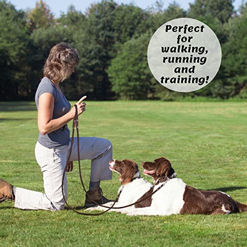 ADITYNA Leather Dog Leash 6 Foot - Soft and Strong Leather Leash for Small and Medium Dog 6 ft x 5/8" Brown - BeesActive Australia