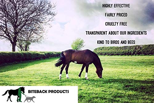 Biteback Products 'Superfly'™ Gel - Ultimate Insect Midge Fly Repellent - Icaridin Picaridin Lavandin 500ml - BeesActive Australia