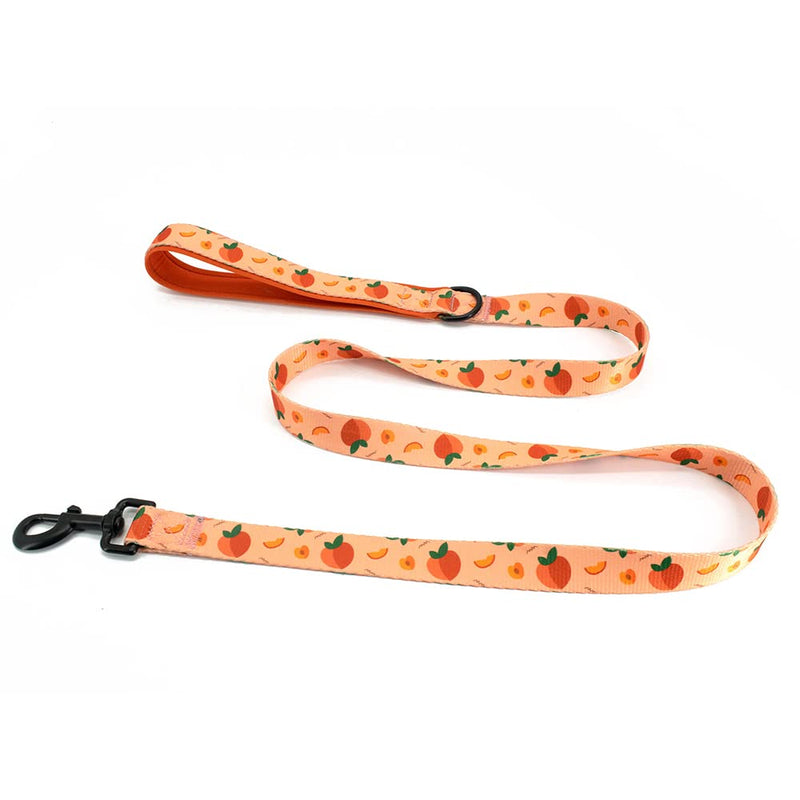No Pull Dog Harness with Leash Set Adjustable Puppy Harnesses Breathable Mesh Padded Pet Outdoor Walking Training Supplies for Medium Small Pets S Peach - BeesActive Australia