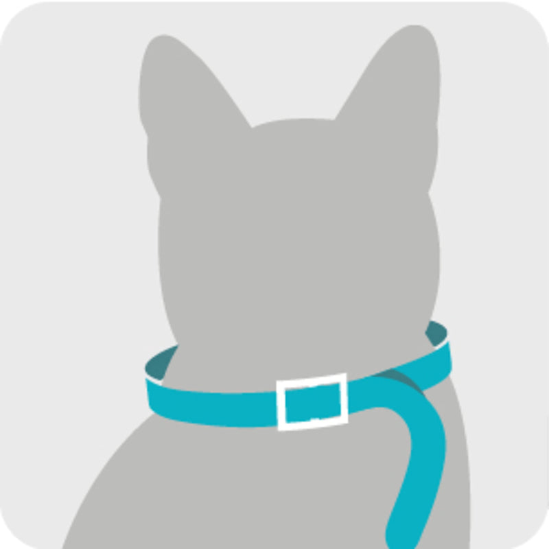 Sergeant's Guardian Flea & Tick Cat Collar, 1 Count - BeesActive Australia