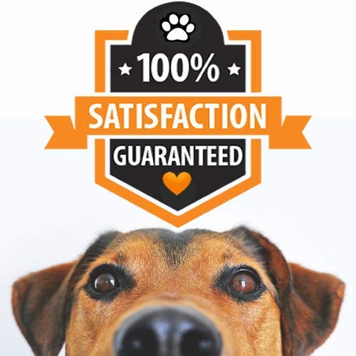 Dog Wart Remover (30ml) 100% Natural Painless Dog Warts Removal Treatment Skin Tag & Wart Remover for Dogs 1oz - BeesActive Australia