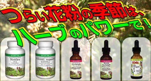 ekurekutexikku netoru (Nettles) MG X 90 Capsules E032 - BeesActive Australia