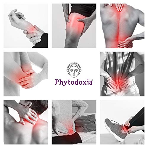 Physio Gel 75 ml (2.5 fl. oz), Massage Arnica Body Cream in Gel Format for Avoid All Disconmforts and Relax Your Back, Neck and Knees. with Natural Ingredients of St Johns Wort and Calendula - BeesActive Australia