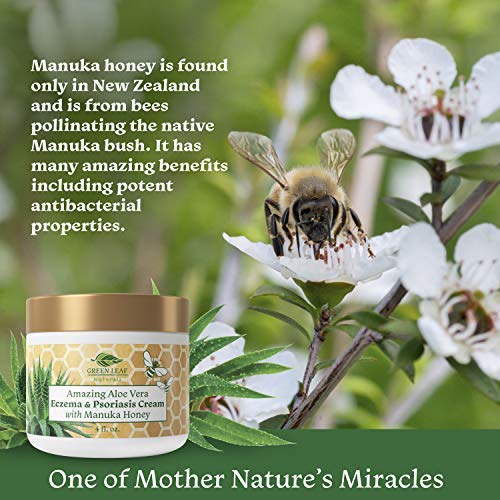 Amazing Aloe Vera Eczema and Psoriasis Cream with Manuka Honey by Green Leaf Naturals - Soothing Natural Relief for Dry Itchy Flaky Scalp, Skin Rash, Redness, Rosacea, Seborrhea, Dermatitis - 4 oz - BeesActive Australia