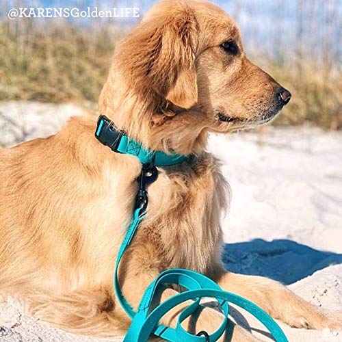 PACKT - Endeavor Dog Collar - Waterproof, Stinkproof, American Made M [Standard: 14"-18"] Ocean - BeesActive Australia