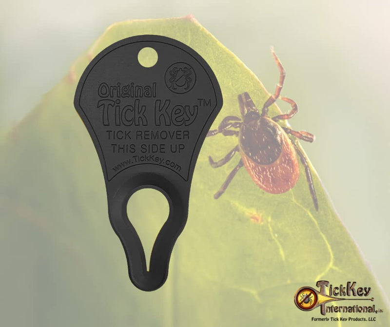 The Original Tick Key -Tick Detaching Device - Portable, Safe and Highly Effective Tick Detaching Tool - 3 Pack (Earth) - BeesActive Australia