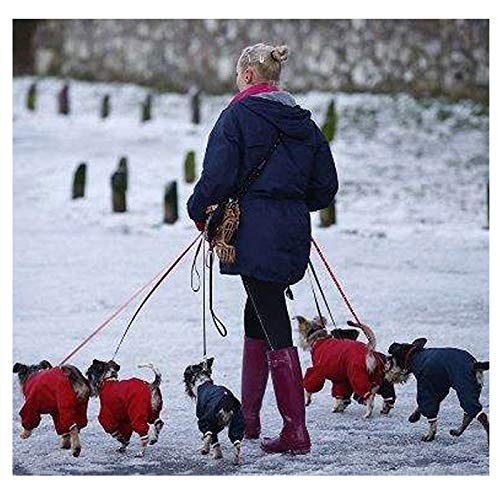 MayPaw Dog Leash Rope Slip Lead,1/4"-5Ft Durable Nylon Puppy Leash- Colorful Adjustable Training Pet Leash for Small and X-Small Dogs 1/4 in x 5ft purple - BeesActive Australia