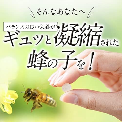 DMJ Egao Seikatsu Hachiko Clear 31 Days 62 Tablets Made in Japan Hachiko Supplement Tablet - BeesActive Australia