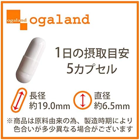 ogaland WINNER Glutamine (150 capsules) Training support (combustion supplement/amino acid) Capsule type - BeesActive Australia