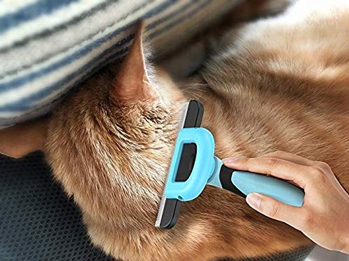 Grow-Pet Deshedding Tool and Grooming Brush for Dogs and Cats, Effective Grooming Tool with Stainless Steel Trimming Blade, and Reduces Shedding by Up to 95% - BeesActive Australia