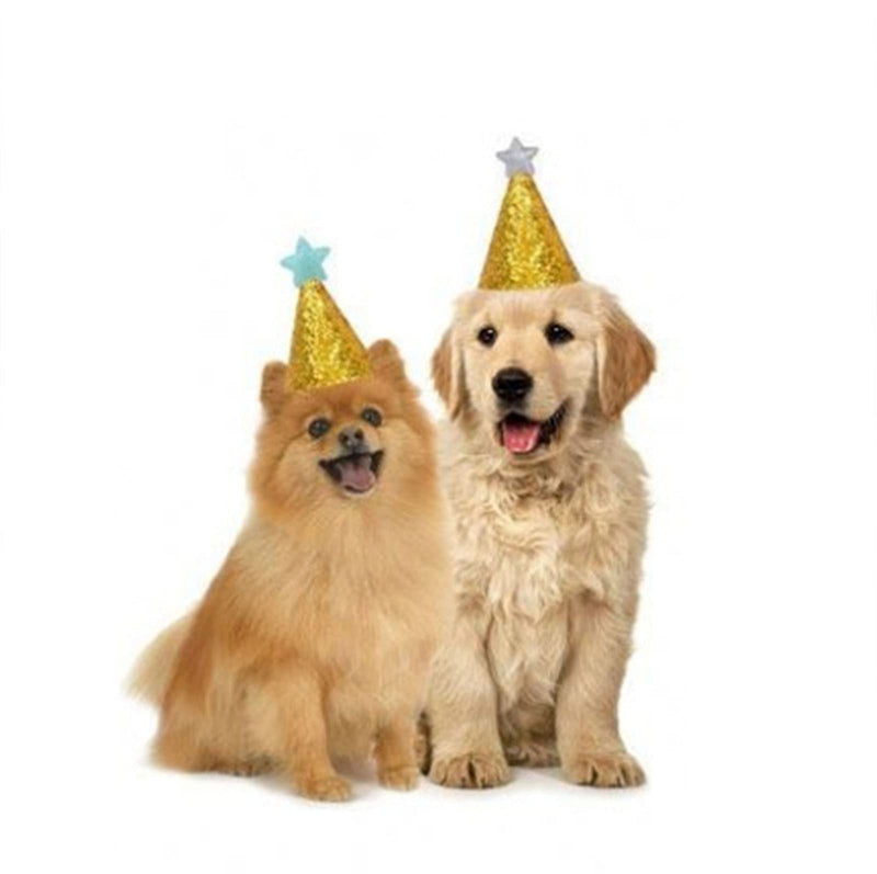 AAAMN 3 Pcs Pet Birthday Hat for Dog and Cat Party Decoration Accessories,Cat and Small Dogs Headband Hats Charms Grooming Accessories Headwear - BeesActive Australia
