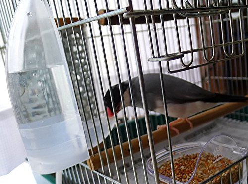 TOKYO-T Pet Bird Cage Water Bottle Dispenser Feeder for Zebra Finch Budgies Set of 2 Clear - BeesActive Australia
