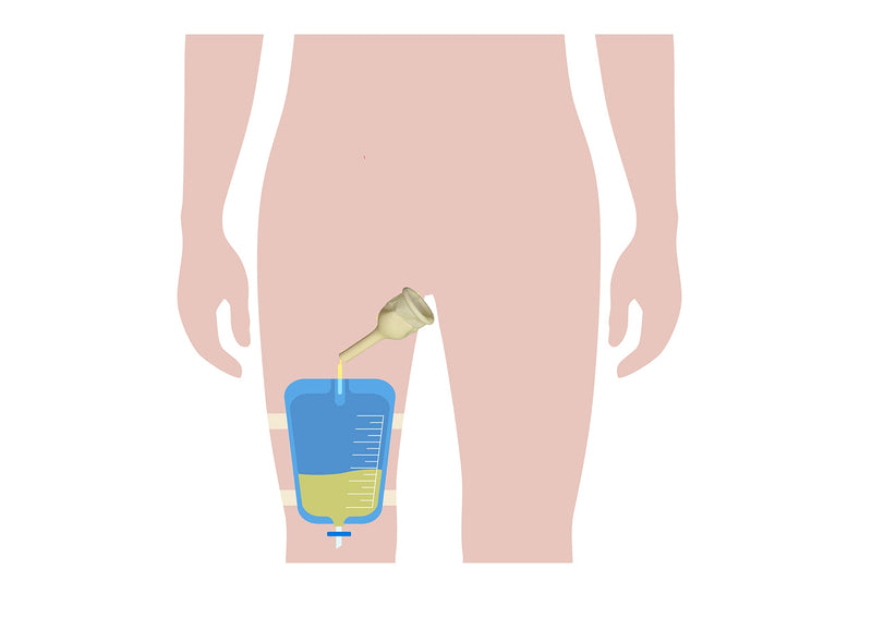 5 Male Urinal Bag Pee Bag Replacement Leg Bag for The Male Urinal 750 ML 5 Unit Product - BeesActive Australia