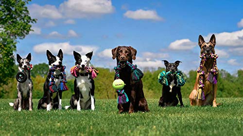 Mammoth Flossy Chews Color Rope Tug – Premium Cotton-Poly Tug Toy for Dogs – Interactive Dog Rope Toy – Tug Dog Chew Toy 3 Knot Medium 20" - BeesActive Australia