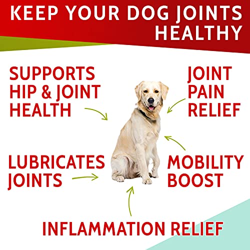 PAWFECTCHEW Glucosamine Dog Treats for Picky Eaters - Joint Supplement w/Chondroitin, MSM, Omega-3 - Joint Pain Relief - Advanced Formula - Chicken Flavor - Made in USA 180 Chews - BeesActive Australia
