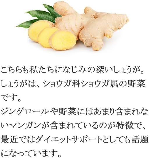 [Lipsa Official] Garlic + Ginger Approximately 3 months supply x 2 bags C-162-2 Diet Supplement - BeesActive Australia