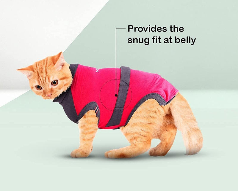 MAXX CAT E Collar Alternative Medical Pet Clothing Recovery Suit for Cats After Surgery Wear Wound Bandage Protection Anti Anxiety Body Wrap XS Red with Grey - BeesActive Australia