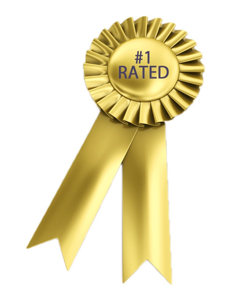 #1 Rated and Best Digestive Enzymes for Dogs! SkinPlex Plus is Guaranteed to help end Dog Skin Allergies, Dog Skin Problems, Itchy Dogs! Top Rated Dog Dry Skin Remedy! Safe All Natural Made in USA! - BeesActive Australia