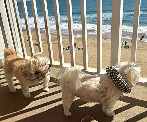 Puppy Bumpers Rainbow Paws 10-13" Made in USA 100% Cotton Stuffed Safety Fence Collar to Keep Your pet Safely on The Right Side of The Fence. - BeesActive Australia