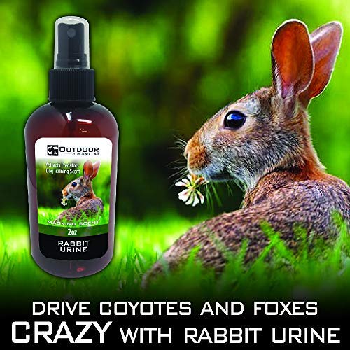 Outdoor Hunting Lab Rabbit Urine for Coyote Hunting, Coyote Lure for Trapping, Scent Killer for Hunting Deer, Rabbit Scent Training for Dogs, Powerful Hunting Gear 1 Bottle - BeesActive Australia