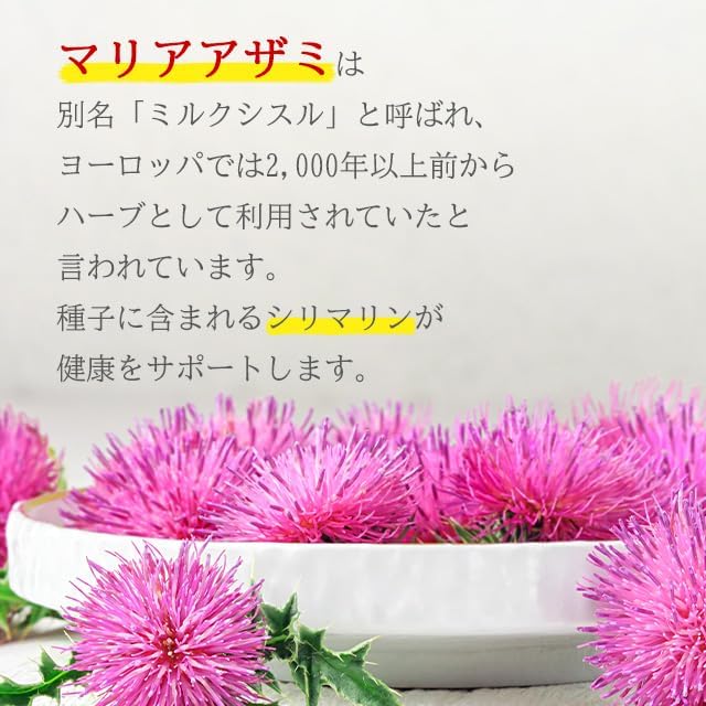 Lipsa Official, Maria Thistle, Approx. 1 Month Supply C-132 Milk Thistle - BeesActive Australia