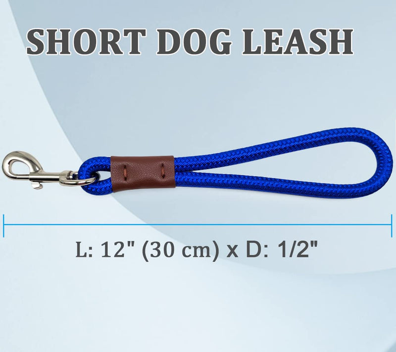 MayPaw Slip Lead Dog Collar + 12 Inch Short Dog Leash Blue - BeesActive Australia