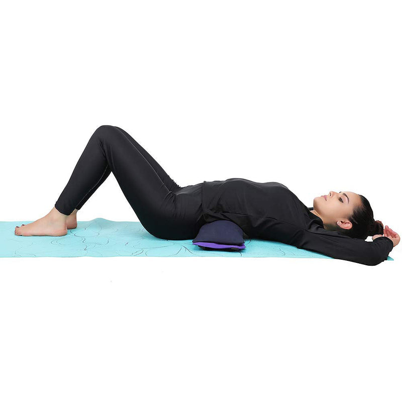 HealthAndYoga(TM) Yoga Sand Bags - Double Bag with Inner Waterproof Bag - Prop for Adding Weight and Support (Black) Black - BeesActive Australia