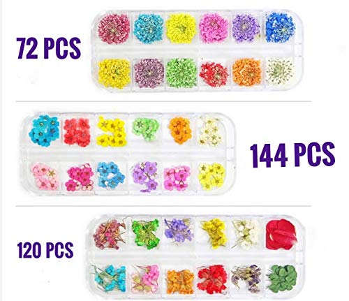 336 Pcs/ 3Boxes NOLASLIAN Real Dried Flowers Nail Art for Acrylic Nails Colorful Natural Flowers and Green Leaves Nail Art Accessories 3D Nail Decoration for DIY UV Gel Acrylic Nail Design Nail Decals - BeesActive Australia