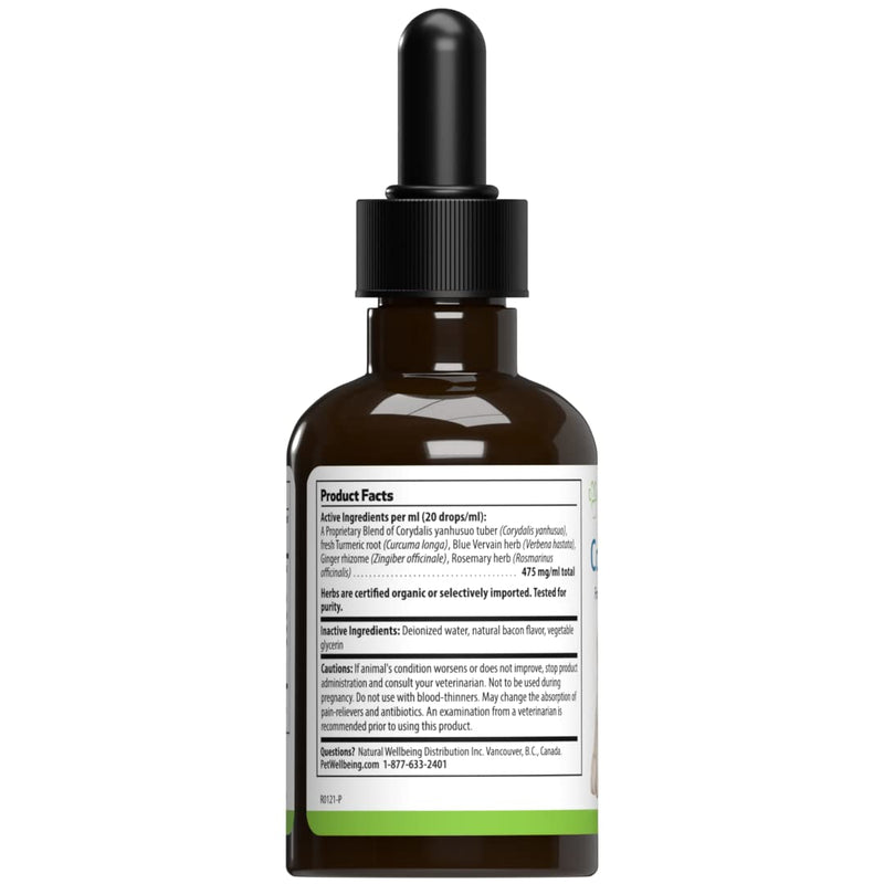 Pet Wellbeing Comfort Gold for Dogs - Natural Pain Relief for Canines - 2 oz (59ml) - BeesActive Australia