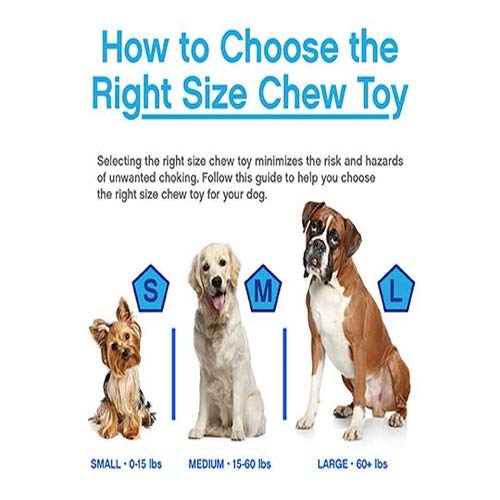 JW Pet Company Large - BeesActive Australia