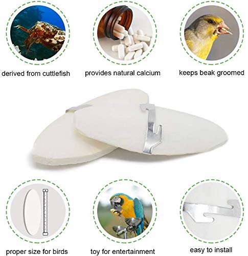 Jmxu's 5"-5.5" Bird Cuttlebone for Parakeets, Cuddle Bone with Metal Holder, Chewing Cuttlefish Bone for Sharp Beaks, Natural Birds Calcium Suitable for Parrots Cockatiels Budgie 6 pack-5"-5.5" each - BeesActive Australia