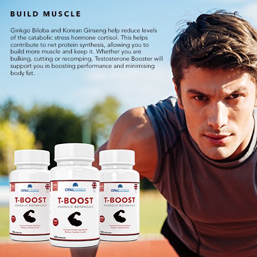 Testosterone And Libido Booster For Men By Opal Fitness - Anabolic Male Enhancing Vegan Capsules With Maca Root, Ginkgo Biloba, Korean Ginseng - Reduce Stress & Cortisol - Produced In The UK - 120 Capsules - BeesActive Australia