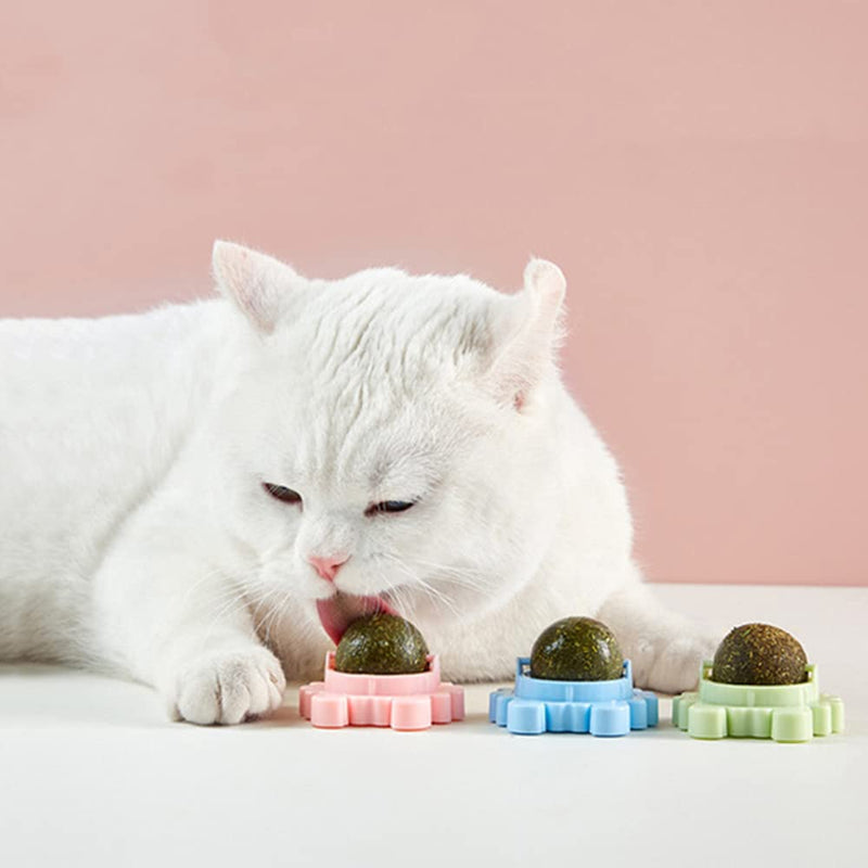 Kayina Catnip Wall Ball, 3-Piece Cat Toys, Edible Cat Licking Toy, Cat Chew Toy, Teeth Cleaning Cat Bite Toy, Rotatable Indoor Cat Toy, Cat Wall Decoration Crab - BeesActive Australia