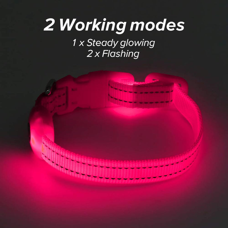 BSEEN Light Up Dog Collars - Rechargeable Glowing LED Dog Collar for Small Dogs & Cats Pink - BeesActive Australia
