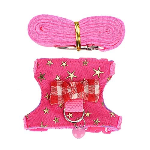 with Soft Texture Outdoor Chest Strap Ferret Leash Pet Harness Ferret Pet Supplies S number - BeesActive Australia