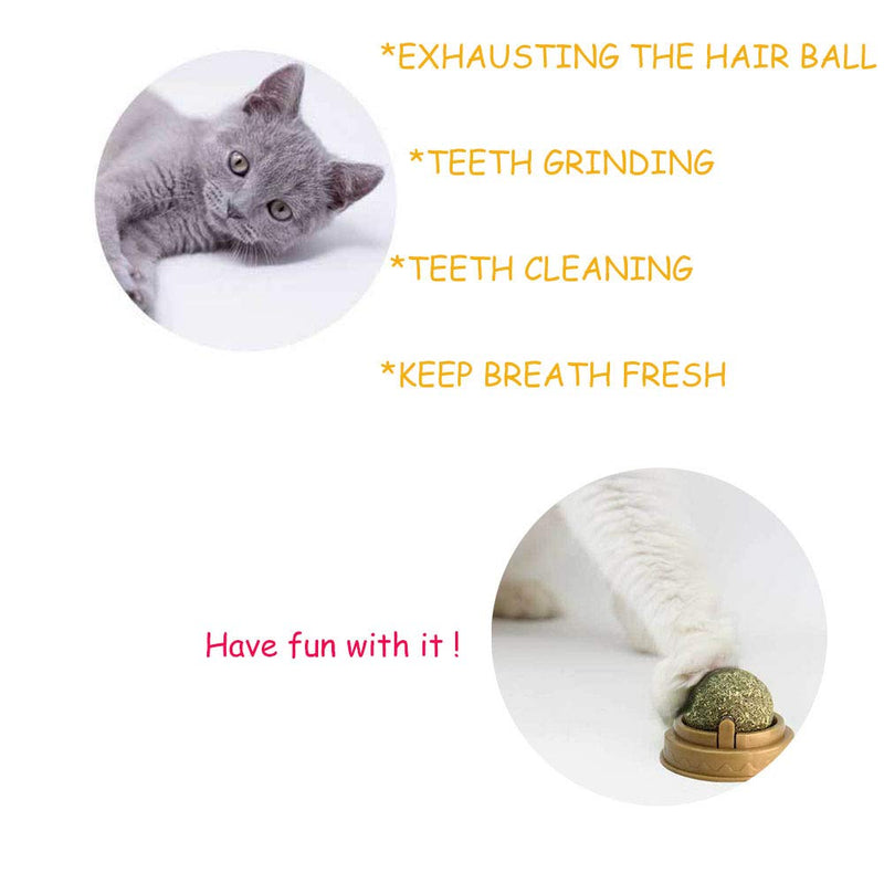 2 Pack Catnip Balls, Pure Natural Mint Leaf Rotating Interactive Cat Toys, Cat Removal Hairball Toys Can Be Sticky On Wall, Teeth Cleaning Catmint Toy for Cat, Kitten, Kitty Playing Chewing 2pcs catnip ball - BeesActive Australia