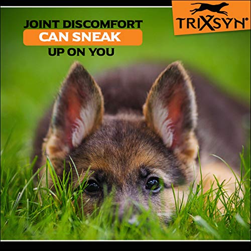 TRIXSYN Canine - All Natural Hip and Joint Care for Dogs- Enhance Joint Mobility and Cartilage Function - Live Healthier and Happier- Patented MHB3 Hylauronan Liquid Formula - BeesActive Australia