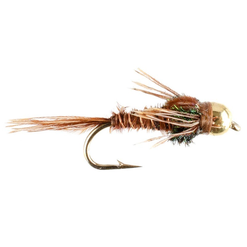 The Fly Fishing Place Bead Head Pheasant Tail Nymph Fly Fishing Flies - Trout and Bass Wet Fly Pattern - 6 Flies Hook Size 18 - BeesActive Australia