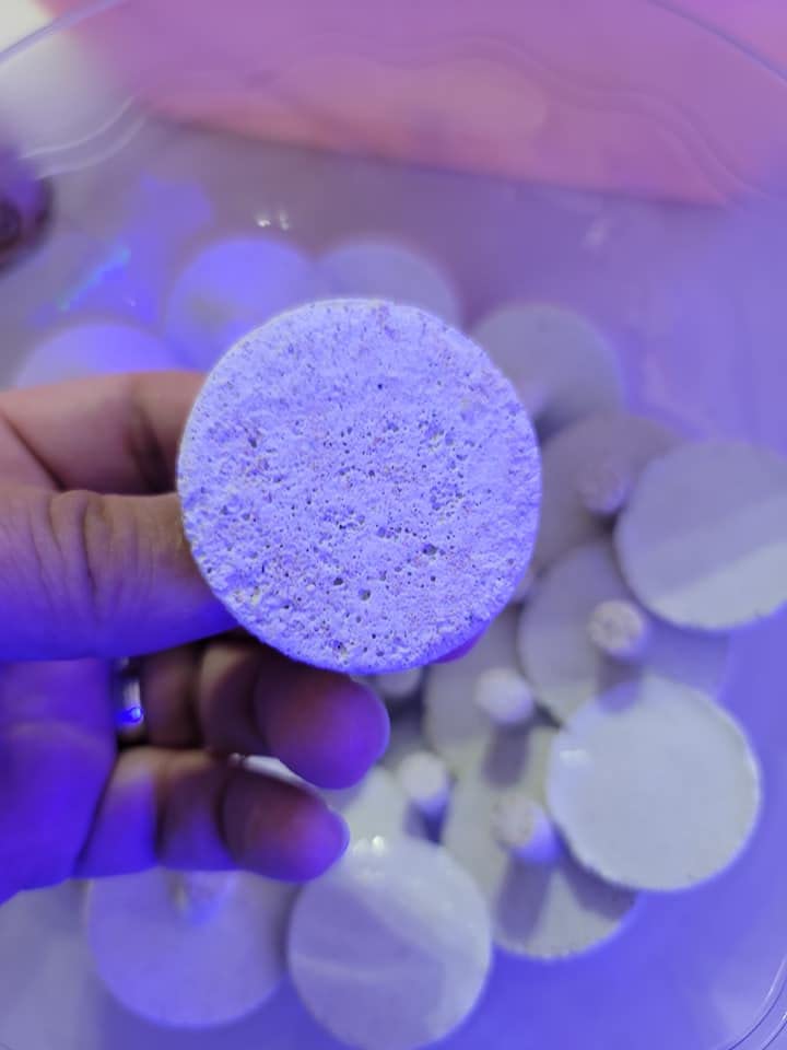 2'' Inch Frag Plugs or Discs - USAREEFAQUATICS (10 Pack - 2'' Inch Frag Discs), White 10 Pack - 2" Inch Frag Discs - BeesActive Australia