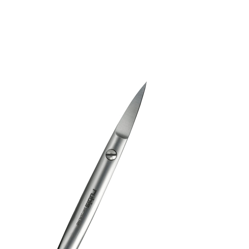 Rubis Sauro Stainless Steel Nail Scissors for Precise Toenails, 1F007, Made in Switzerland, Silver - BeesActive Australia