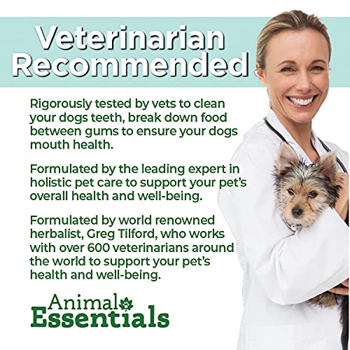 Animal Essentials Senior Support Supplement Dogs and Cats, 2 fl oz - Made in USA Physical and Mental Well-Being - BeesActive Australia