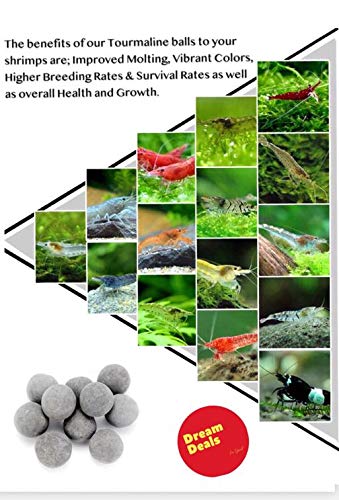 DreamDealsSG Tourmaline Balls for Freshwater Aquarium Tank. Mineral Supplement Substrate. Live Shrimp Food, Betta Fish Food, and Crayfish Food. Water Conditioner for Freshwater Shrimp etc. - BeesActive Australia