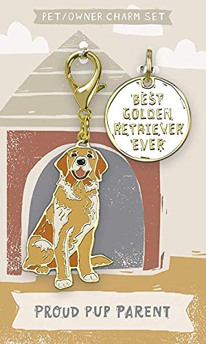 Primitives by Kathy Dog Collar Charm Set - Golden Retriever - BeesActive Australia
