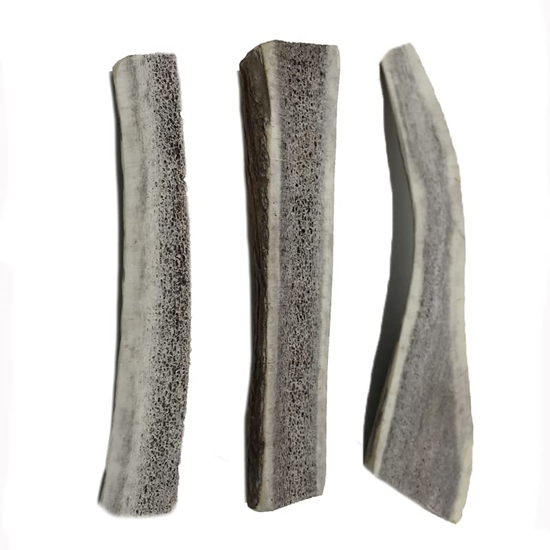 WhiteTail Naturals Premium Split Elk Antlers for Dogs | All Natural Dog Chews | Naturally Shed, Antler Bone Half-Cut Small (Pack of 3) - BeesActive Australia
