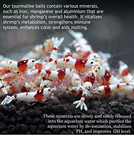 DreamDealsSG Tourmaline Balls for Freshwater Aquarium Tank. Mineral Supplement Substrate. Live Shrimp Food, Betta Fish Food, and Crayfish Food. Water Conditioner for Freshwater Shrimp etc. - BeesActive Australia