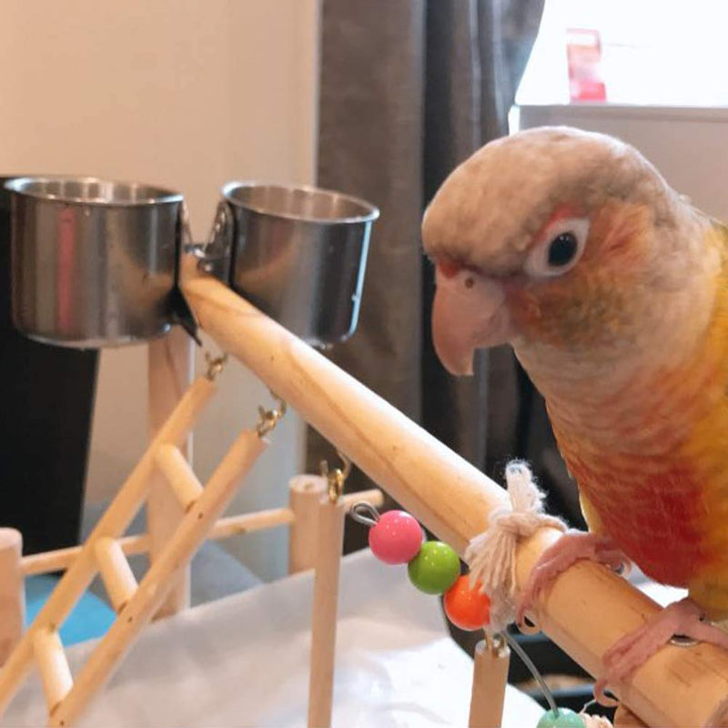 TBWHL Parrot Feeding Cups Hanging Pet Animal Stainless Steel Birdcage Bowls Bird Bowls for Cage Parakeet Bird Cage Accessories Suitable Small and Medium Bird S - BeesActive Australia