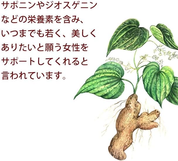 [Ripsa Official] Wild Yam Approximately 3 Months Supply C-236 Beauty Supplement - BeesActive Australia